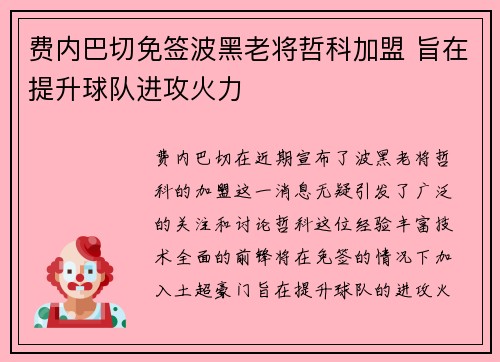 费内巴切免签波黑老将哲科加盟 旨在提升球队进攻火力